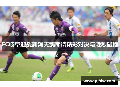 FC岐阜迎战新泻天鹅期待精彩对决与激烈碰撞